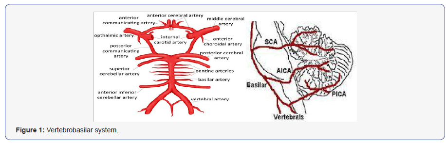 Click here to view Large Figure 1