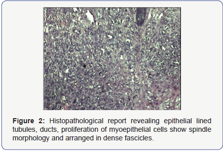 Click here to view Large Figure 2