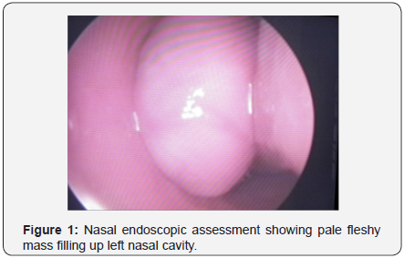 Click here to view Large Figure 1