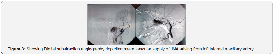 Click here to view Large Figure 3