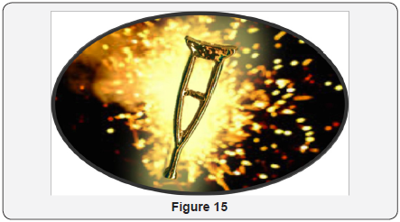 Click here to view Large Figure 15