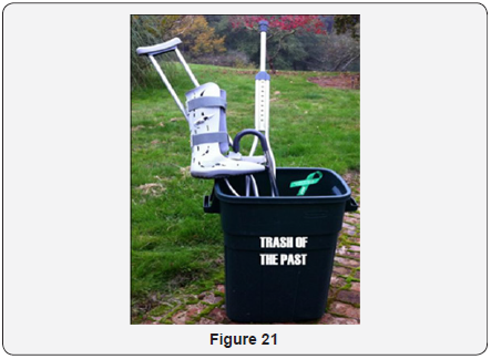 Click here to view Large Figure 21