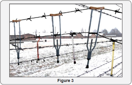 Click here to view Large Figure 3