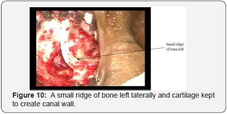 Click here to view Large Figure 10