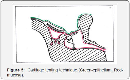 Click here to view Large Figure 5