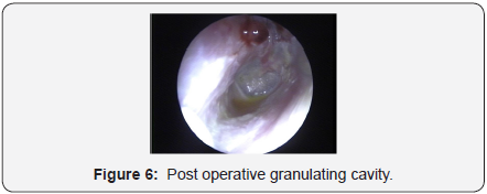 Click here to view Large Figure 6
