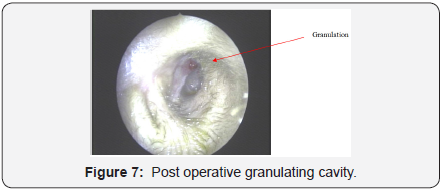 Click here to view Large Figure 7