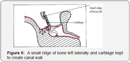 Click here to view Large Figure 9