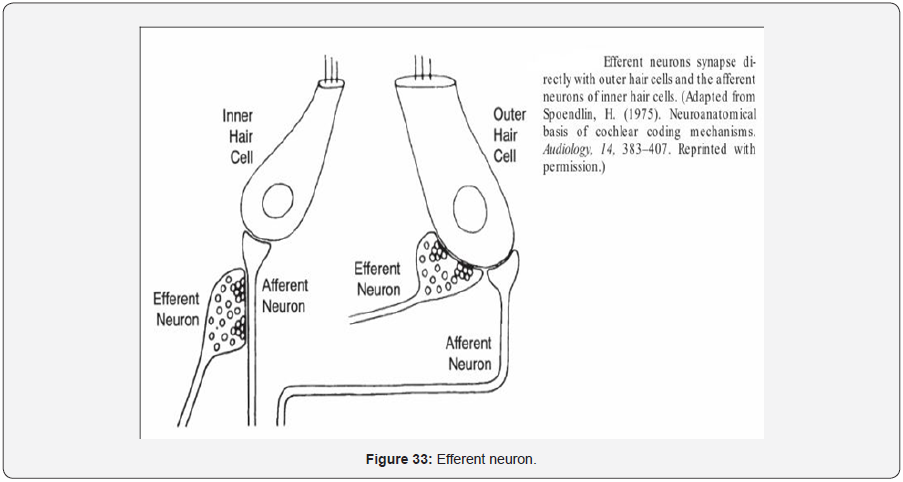 Click here to view Large Figure 34