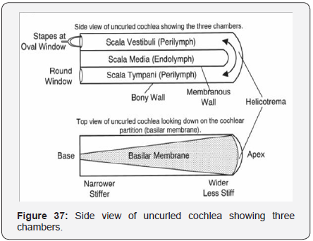 Click here to view Large Figure 38
