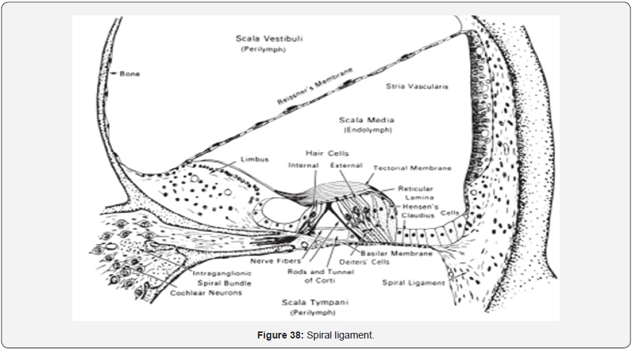 Click here to view Large Figure 39