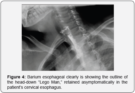 Click here to view Large Figure 4
