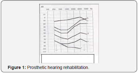 Click here to view Large Figure 1