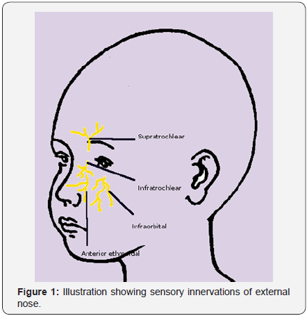 Click here to view Large Figure 1