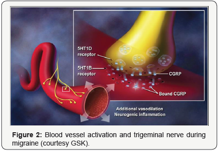 Click here to view Large Figure 2