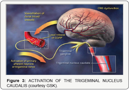 Click here to view Large Figure 3