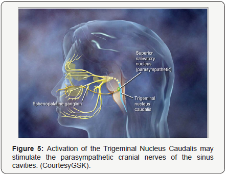 Click here to view Large Figure 5