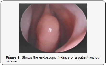 Click here to view Large Figure 6