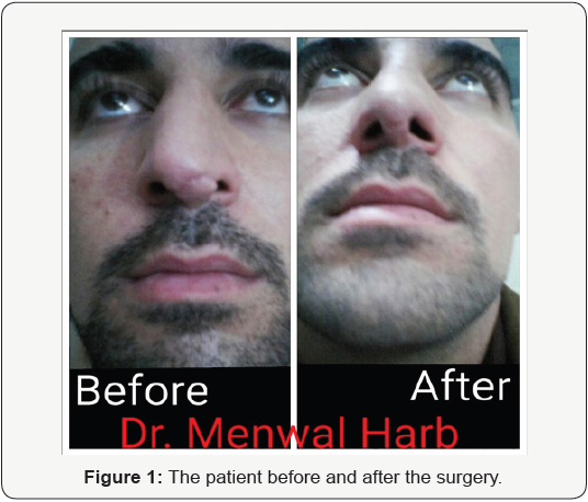 Click here to view Large Figure 1