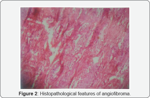 Click here to view Large Figure 2