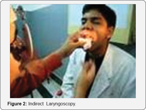 Click here to view Large Figure 2