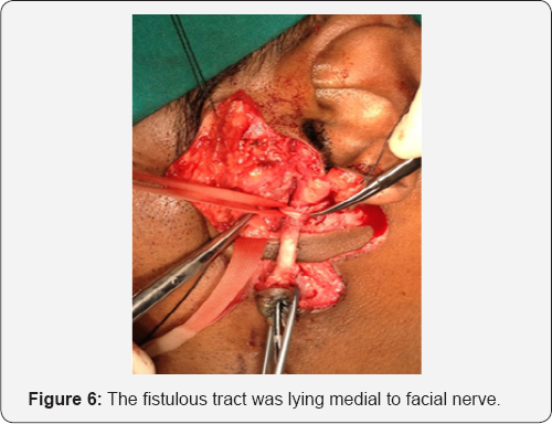 Click here to view Large Figure 6