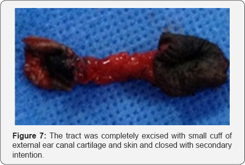 Click here to view Large Figure 7