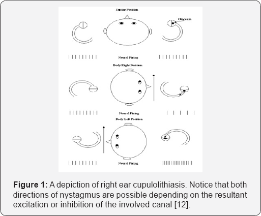 Click here to view Large Figure 1