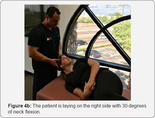 Click here to view Large Figure 4b