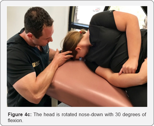 Click here to view Large Figure 4c