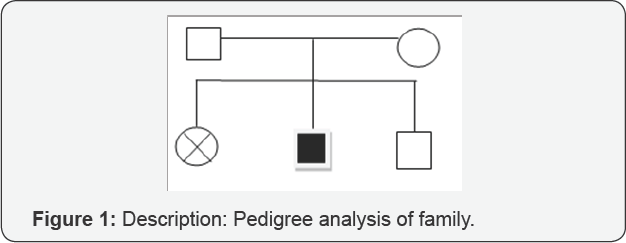 Click here to view Large Figure 1