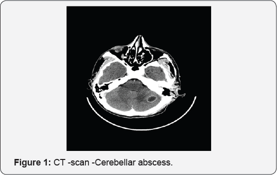 Click here to view Large Figure 1