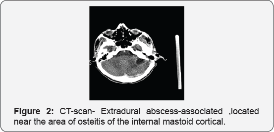 Click here to view Large Figure 2