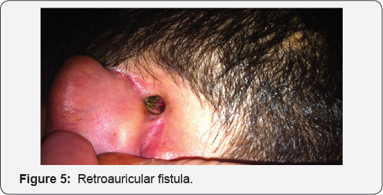 Click here to view Large Figure 5