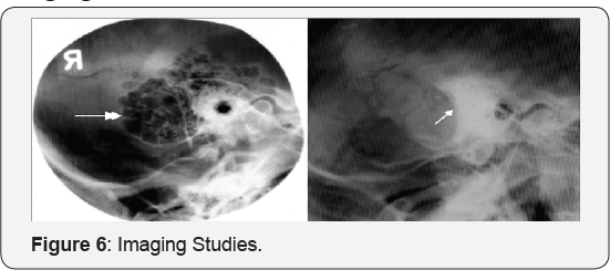 Click here to view Large Figure 6