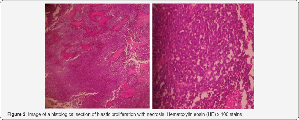 Click here to view Large Figure 2