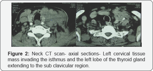 Click here to view Large Figure 2