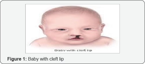 Click here to view Large Figure 1