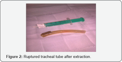 Click here to view Large Table 1