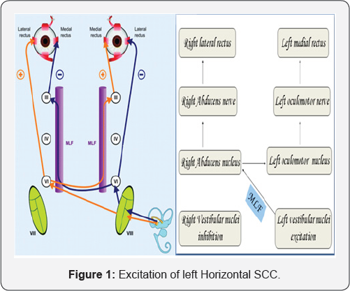 Click here to view Large Figure 1