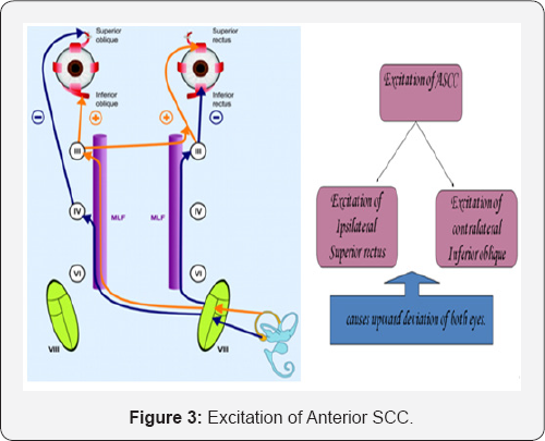 Click here to view Large Figure 3