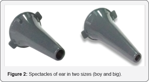 Click here to view Large Figure 2