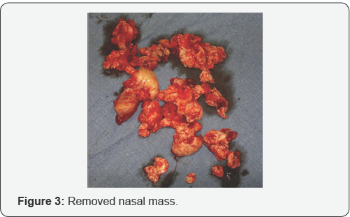 Click here to view Large Figure 3