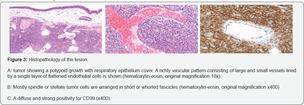 Click here to view Large Figure 3