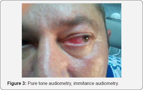 Click here to view Large Figure 3