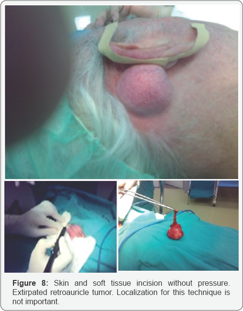 Click here to view Large Figure 8