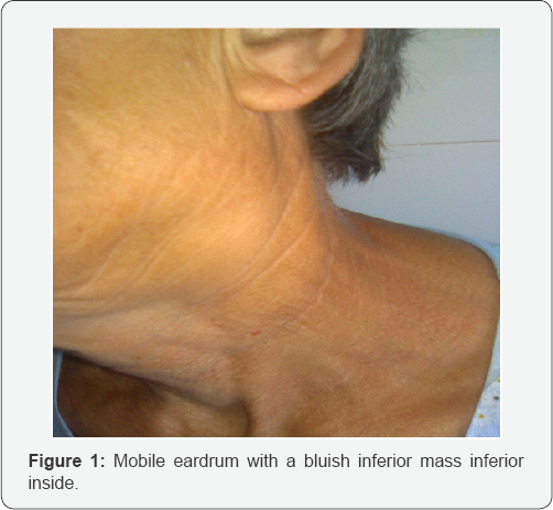 Click here to view Large Figure 1