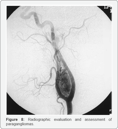 Click here to view Large Figure 8