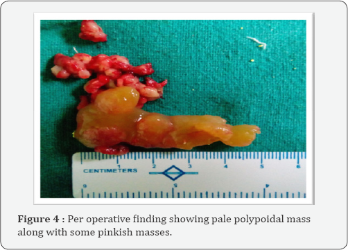 Click here to view Large Figure 4