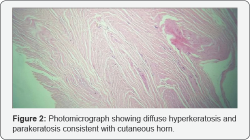 Click here to view Large Figure 2